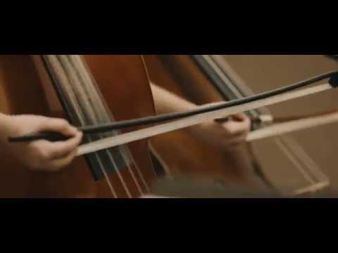 Preview image for the video "UW Orchestra: Beauty in the Discovery — Be a World of Good".