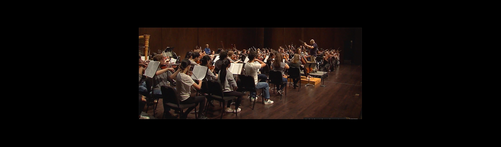 UW Symphony Orchestra on UW360