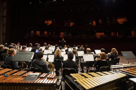 Wind Ensemble (Photo: UW Photography). 