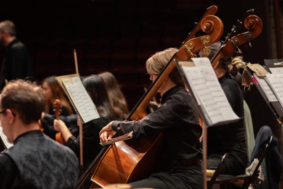 Orchestra detail