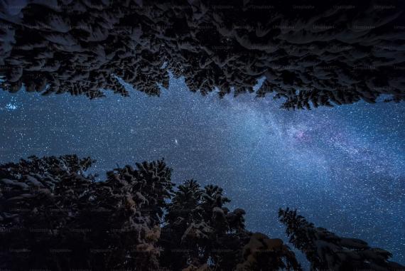 Photo: Ales Krivec/Unsplash