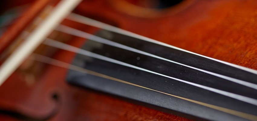 Violin Close Up (photo: Steve Korn)