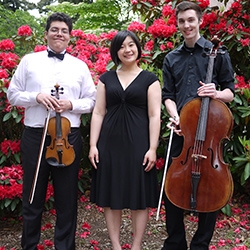 2013-14 UW Music chamber group Trio Andromeda