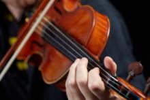 Violin close-up