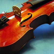 Violin