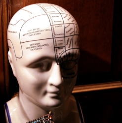 Bust showing brain sections