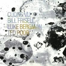 Cuong Vu: Change in the Air CD cover