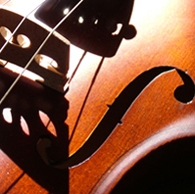 Cello close-up