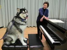 Dubs the UW's Husky mascot takes a piano lesson from Prof. Robin McCabe