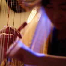 Harp closeup