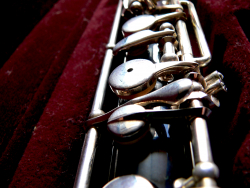 Oboe (Photo: Sarkule)