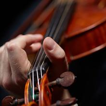 Violin