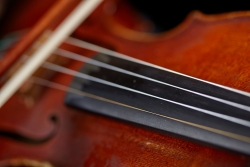 Violin Close Up (photo: Steve Korn)