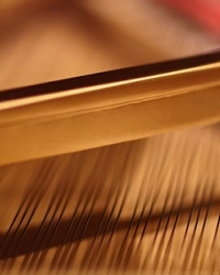 Closeup of piano strings