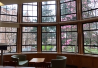 View of the Quad from the Music Library (Photo: Joanne DePue).