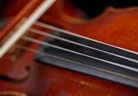 Violin Close Up (photo: Steve Korn)