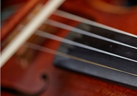 strings closeup