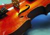 Violin