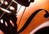 Cello close-up