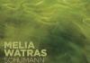Melia Watras: Schumann Resonances