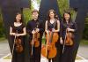 Emily Choi, Rochelle Nguyen, Romaric Pokorny, and Sonja Myklebust