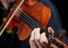 Violin detail
