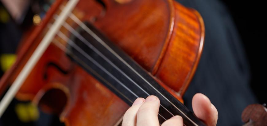 Violin close-up