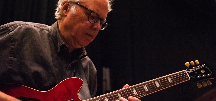 Bill Frisell, guitar