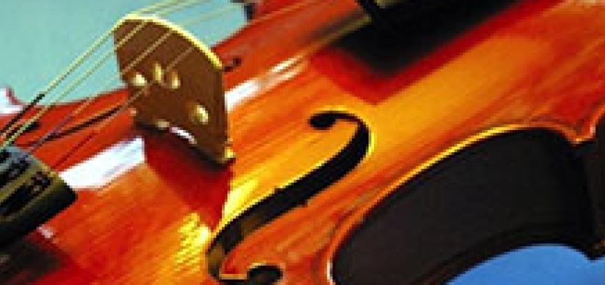 Violin