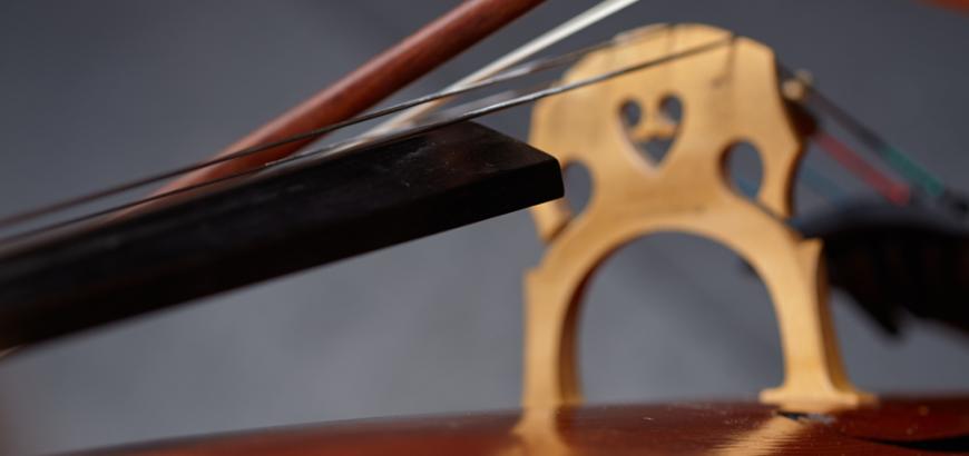Cello detail