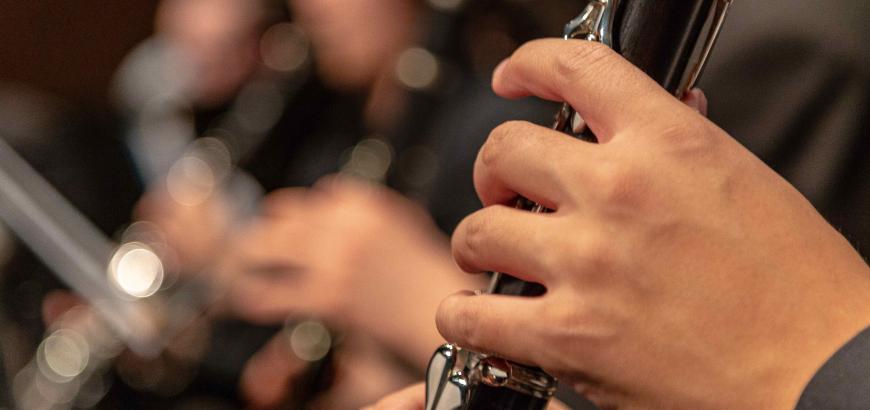 Clarinet Hands image