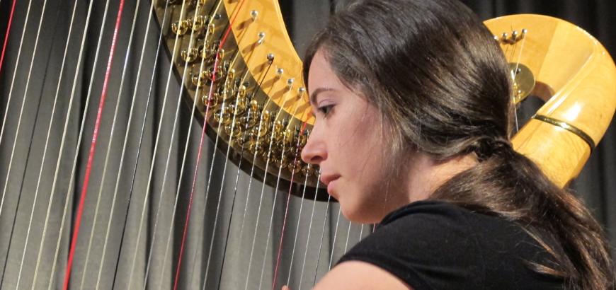 Harpist