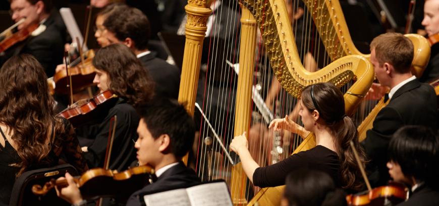 Harpists in the orchestra