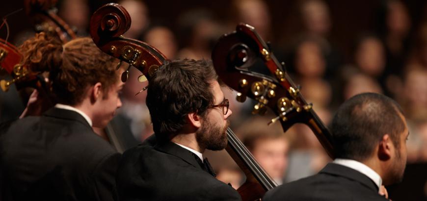 Orchestra bass section