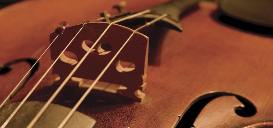 Violin Close Up