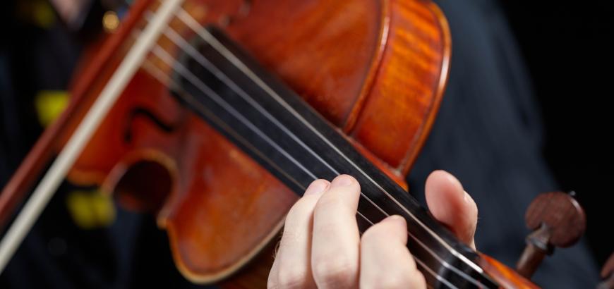 Violin detail