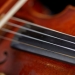 Violin Close Up (photo: Steve Korn)