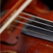 strings closeup