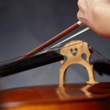 Cello detail
