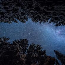Photo: Ales Krivec/Unsplash