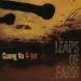 Cuong Vu 4-tet: Leaps of Faith Leaps of Faith album