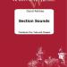 "Section Sounds", for low brass section & timpani